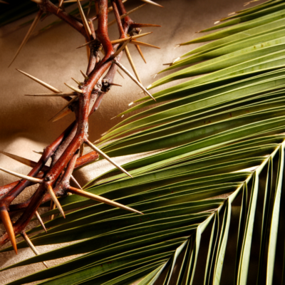 Carrying the Cross – Palm Sunday – Year A