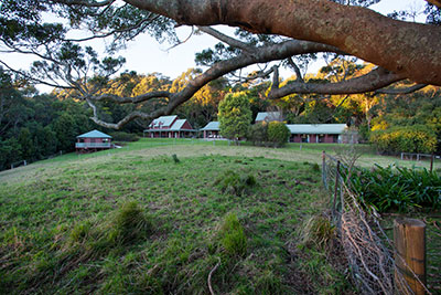Being at Home in the Universe Story – Jamberoo Abbey