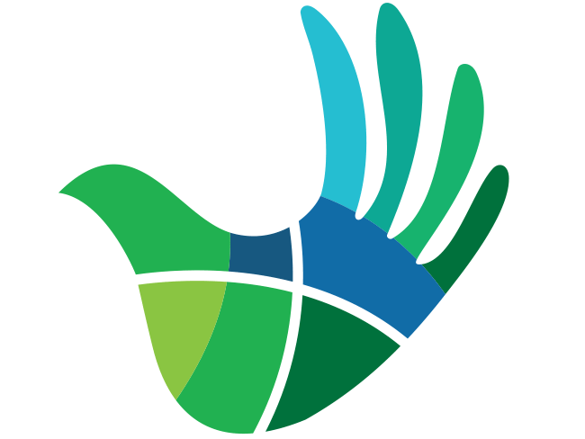 diocesan logo