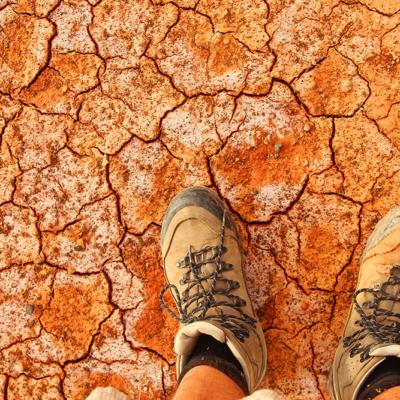 Diocese joins Australian Church in praying for rain