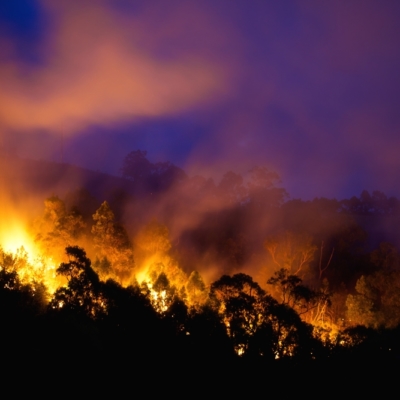 A prayer for the Shoalhaven