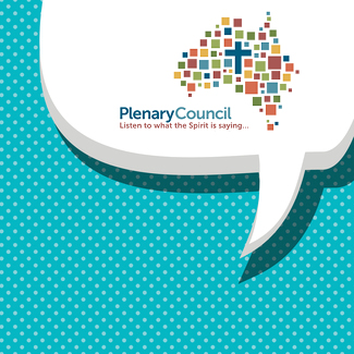A chat with some of our Plenary Council members