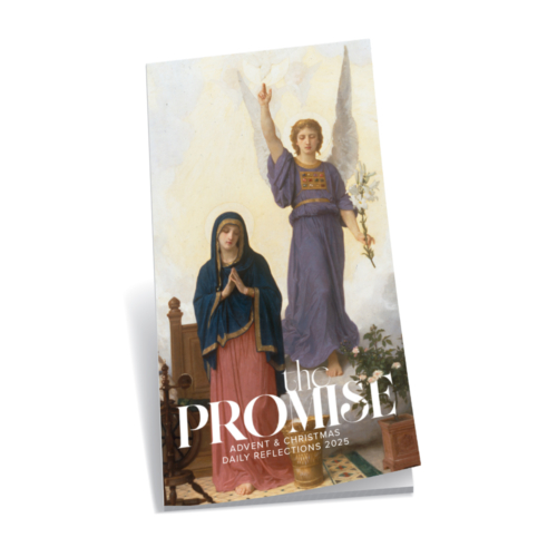 THE PROMISE Advent Program 2025