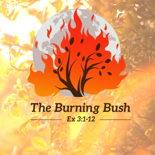 Join the 2022 Season of Creation Catholic Diocese of Wollongong