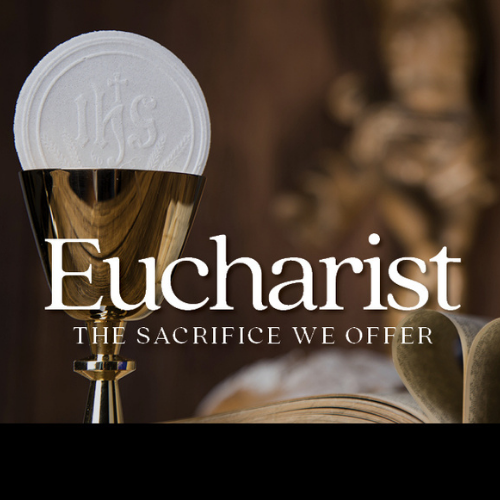 Eucharist: The Sacrifice We Offer – Catholic Diocese of Wollongong