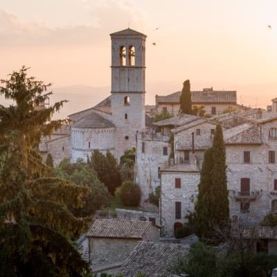 Conclude the Season of Creation: The Feast of St Francis of Assisi