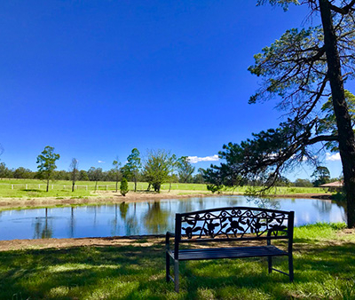 Advent Retreat: Calm Contemplation